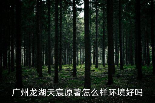 廣州龍湖天宸原著怎么樣環境好嗎