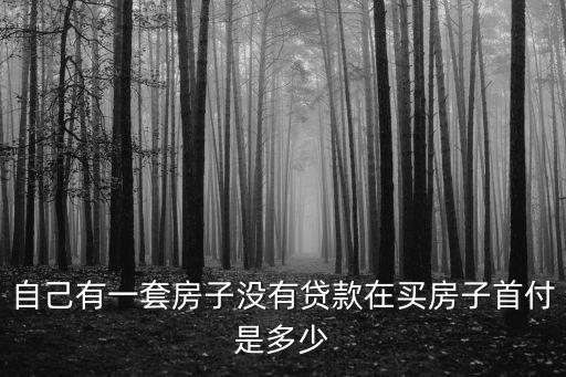 無(wú)首付買(mǎi)房?jī)r(jià)錢(qián)如何計(jì)算，無(wú)房首次購(gòu)買(mǎi)新房首付是多少