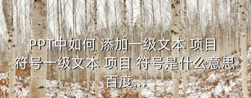 PPT中如何 添加一級(jí)文本 項(xiàng)目 符號(hào)一級(jí)文本 項(xiàng)目 符號(hào)是什么意思百度...