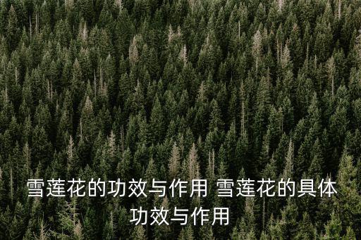 雪蓮的功效與作用,雪蓮花的功效與作用:有助預防冠病及治療
