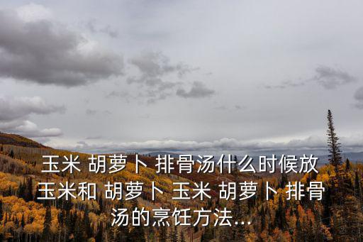  玉米 胡蘿卜 排骨湯什么時候放 玉米和 胡蘿卜 玉米 胡蘿卜 排骨湯的烹飪方法...