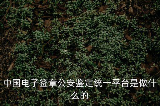 中國電子簽章公安鑒定統(tǒng)一平臺是做什么的