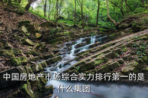 中國房地產(chǎn)市場綜合實(shí)力排行第一的是什么集團(tuán)