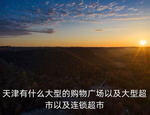天津有什么大型的購物廣場以及大型超市以及連鎖超市