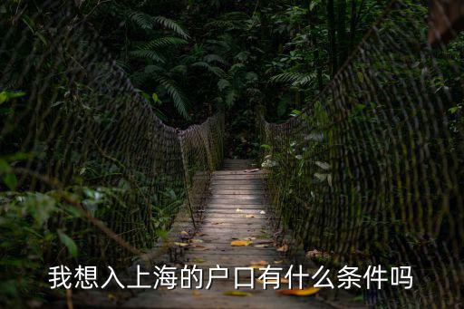 我想入上海的戶口有什么條件嗎
