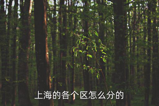 上海的各個區怎么分的