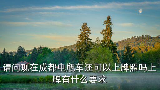 請問現(xiàn)在成都電瓶車還可以上牌照嗎上牌有什么要求