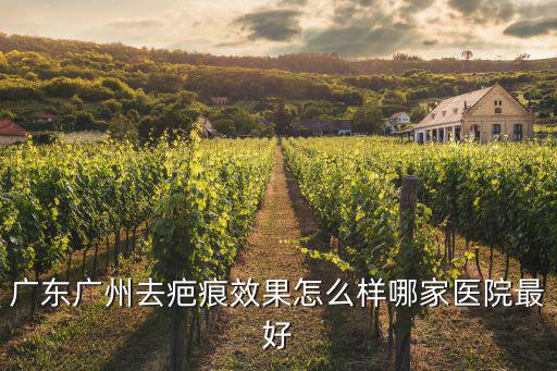 去疤痕就問(wèn)廣州健膚挺好，廣州疤痕醫(yī)院大家給推薦下