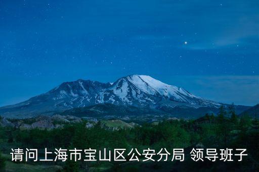 請問上海市寶山區公安分局 領導班子