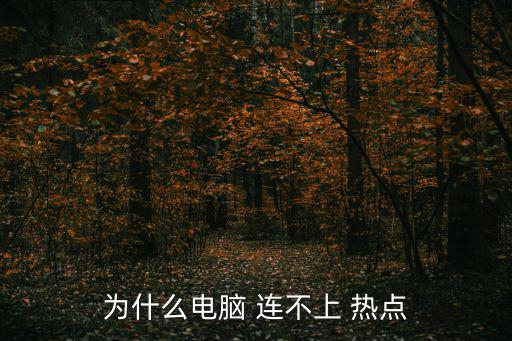 為什么電腦 連不上 熱點(diǎn)