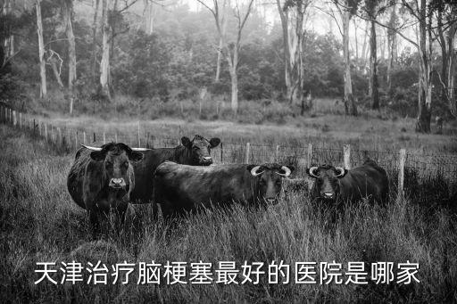 天津市有哪些醫(yī)院可以治療腦梗，天津環(huán)湖腦梗塞專科醫(yī)院溶栓地址