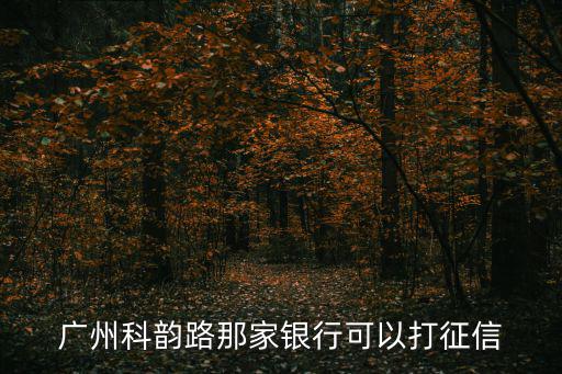 廣州科韻路那家銀行可以打征信