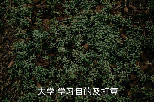  大學 學習目的及打算