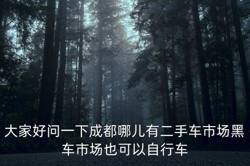 成都市賣(mài)黑車(chē)，大家好問(wèn)一下成都哪兒有二手車(chē)市場(chǎng)黑車(chē)市場(chǎng)也可以自行車(chē)