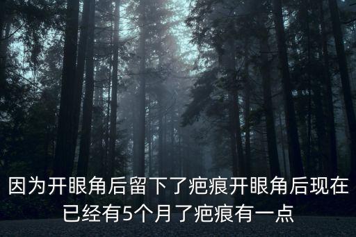 因為開眼角后留下了疤痕開眼角后現在已經有5個月了疤痕有一點