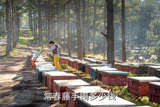 廣州實(shí)地常春藤均價(jià)，現(xiàn)在的廣州本田一般在多少錢左右