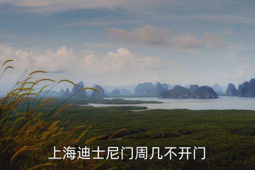 上海迪士尼門周幾不開門