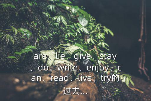 are、lie、give、stay、do、write、enjoy、can、read、live、try的過去...