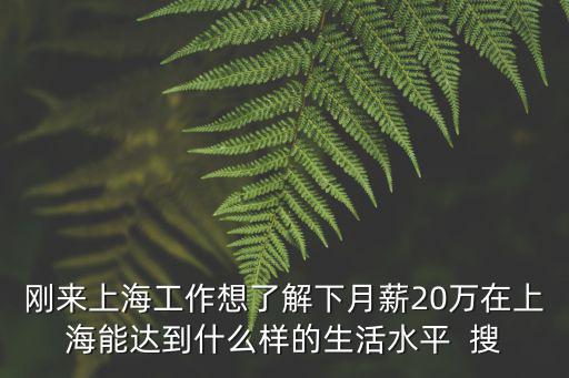 剛來上海工作想了解下月薪20萬在上海能達到什么樣的生活水平  搜