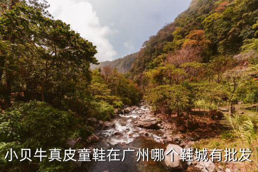 小貝牛真皮童鞋在廣州哪個鞋城有批發