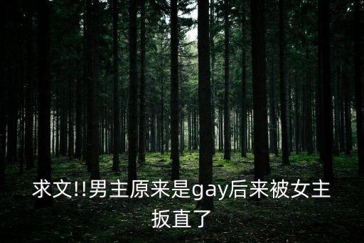 Gay文,第二集:男主角與女主角的故事