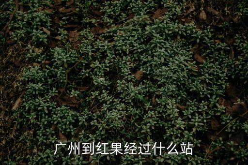 廣州到紅果經(jīng)過什么站