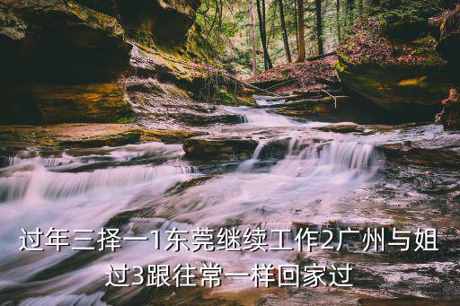 過年三擇一1東莞繼續工作2廣州與姐過3跟往常一樣回家過