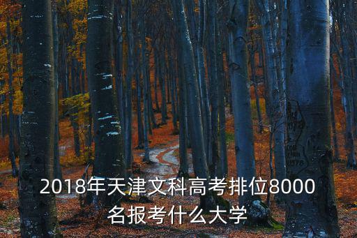 2018年天津文科高考排位8000名報考什么大學