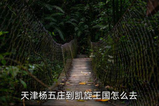 天津楊五莊到凱旋王國怎么去
