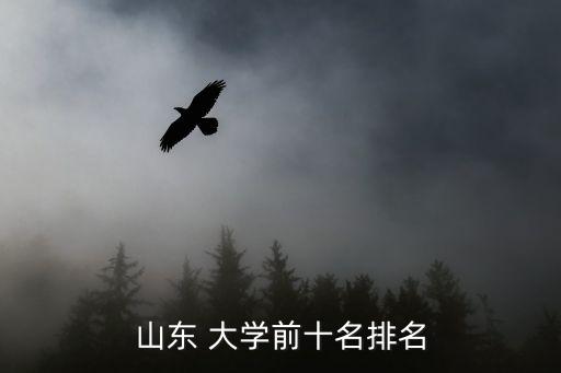 山東 大學(xué)前十名排名