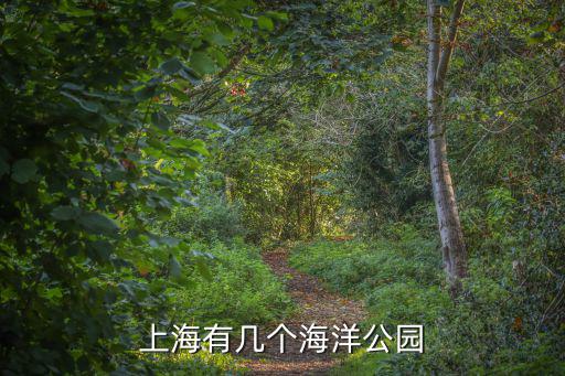 上海有幾個海洋公園