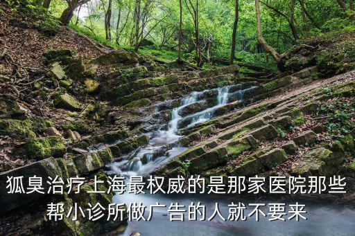 上海綠苗苗，上海市普陀區新村路423號招聘的都是騙子公司