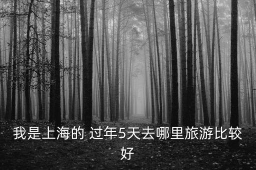 我是上海的 過年5天去哪里旅游比較好
