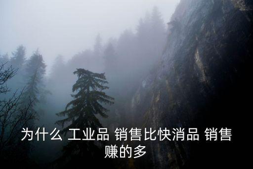 為什么 工業(yè)品 銷售比快消品 銷售賺的多