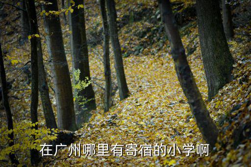 廣州寄宿小學有那些，廣州市有哪些寄宿小學