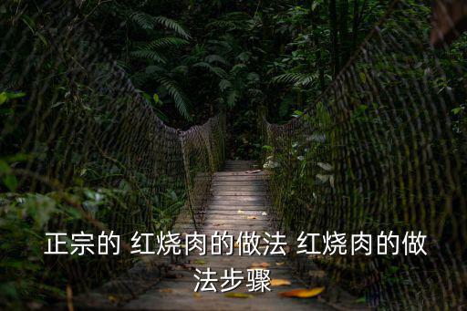 正宗紅燒肉,紅燒肉的做法