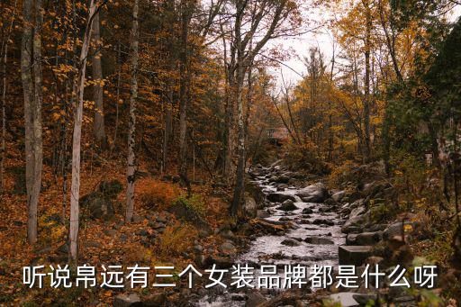 聽說帛遠有三個女裝品牌都是什么呀