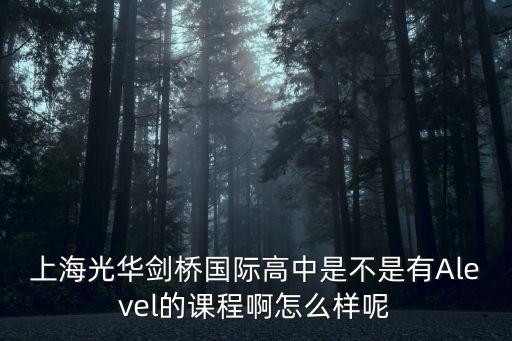 上海光華劍橋國際高中是不是有Alevel的課程啊怎么樣呢