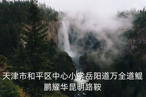 天津市和平區(qū)萬全小學(xué)老師，天津市和平區(qū)中心小學(xué)岳陽道萬全道鯤鵬耀華昆明路鞍