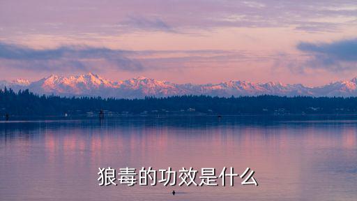 狼毒的功效是什么