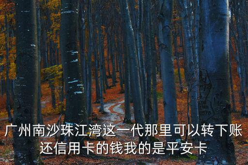 廣州南沙珠江灣這一代那里可以轉(zhuǎn)下賬還信用卡的錢我的是平安卡