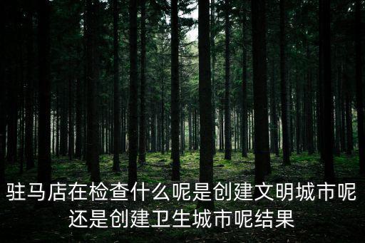 駐馬店在檢查什么呢是創建文明城市呢還是創建衛生城市呢結果
