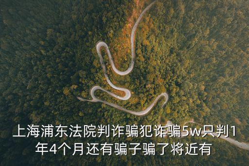 上海浦東法院判詐騙犯詐騙5w只判1年4個月還有騙子騙了將近有