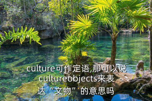  culture可作定語,那可以說 cultureobjects來表達“文物”的意思嗎