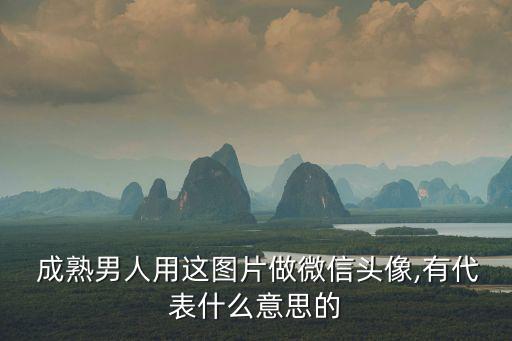  成熟男人用這圖片做微信頭像,有代表什么意思的