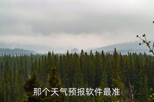 那個天氣預(yù)報軟件最準
