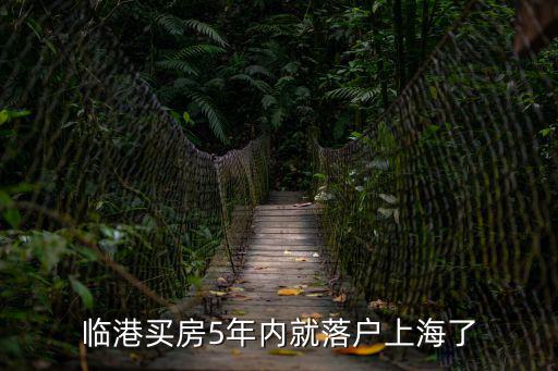 上海臨港直接落戶條件是什么，2019湖南 桃源縣人 想遷居上海 臨港新區 我不太懂上海的落戶政策