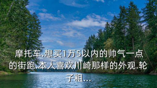  摩托車.想買1萬5以內(nèi)的帥氣一點(diǎn)的街跑.本人喜歡川崎那樣的外觀.輪子粗...