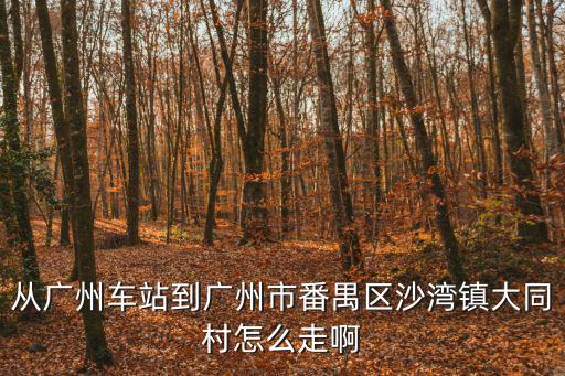 從廣州車站到廣州市番禺區沙灣鎮大同村怎么走啊
