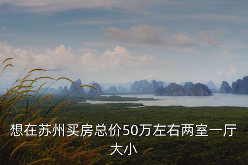 想在蘇州買房總價50萬左右兩室一廳大小